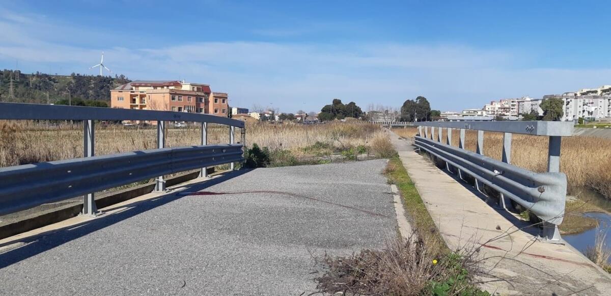 Un altro cane ucciso a Crotone -