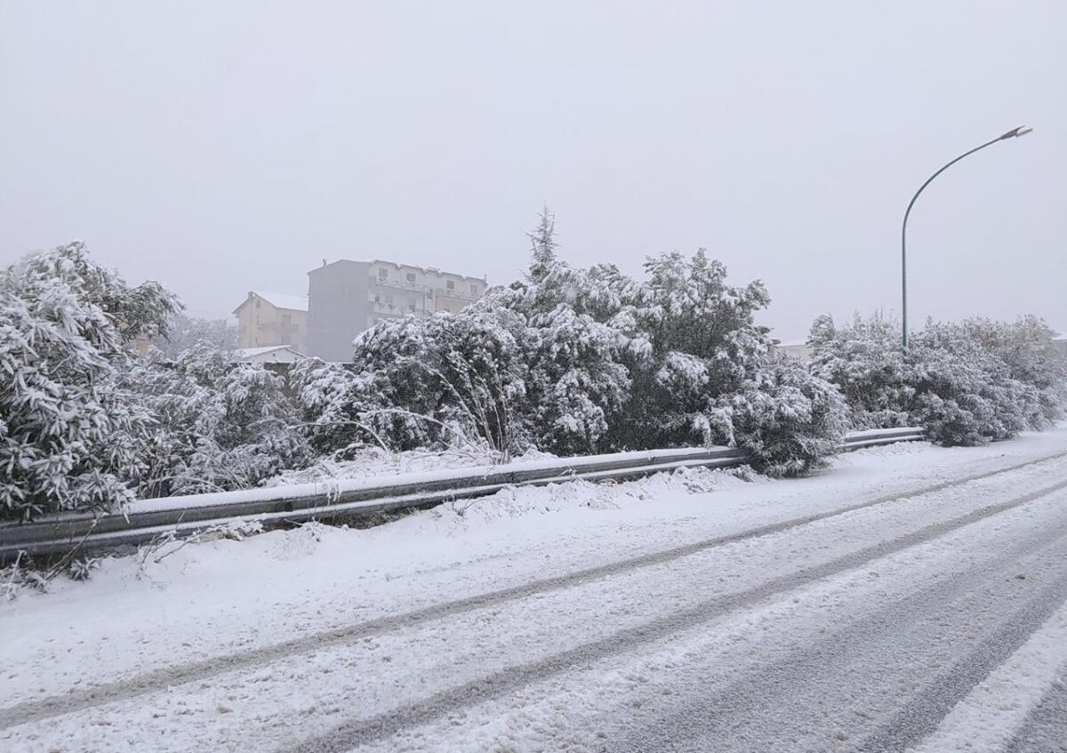Neve sulla S.S. 107 Silana, fiocchi bianchi anche a Caccuri - 