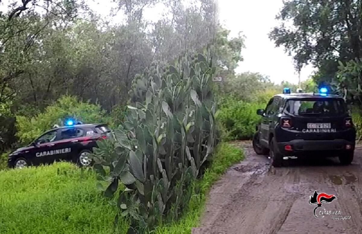 Operazione "Saggio Compagno", ndrangheta del reggino: otto misure cautelari - 
