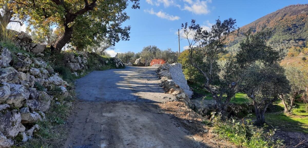 Mesoraca, interventi sulla strada interpoderale in località Foresta - 