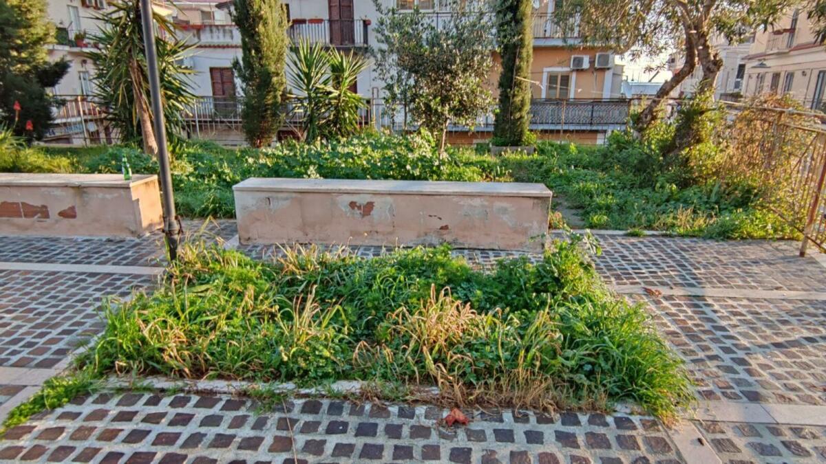 Crotone, la buona volontà non basta: verde pubblico, serve maggiore attenzione - 