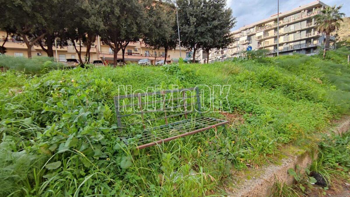 Crotone, panchine letteralmente "immerse" nel verde - 