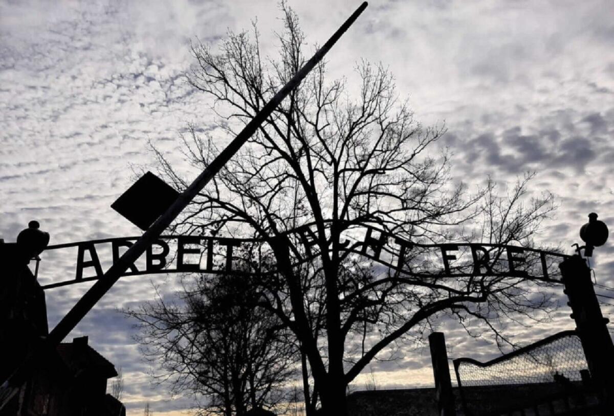 Giorno della Memoria, Sottosegretario Pucciarelli: richiamo a riflettere su vicende dal significato imperituro - 