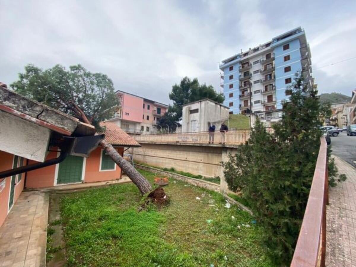 Albero caduto su una scuola materna: disagi per il forte vento - 