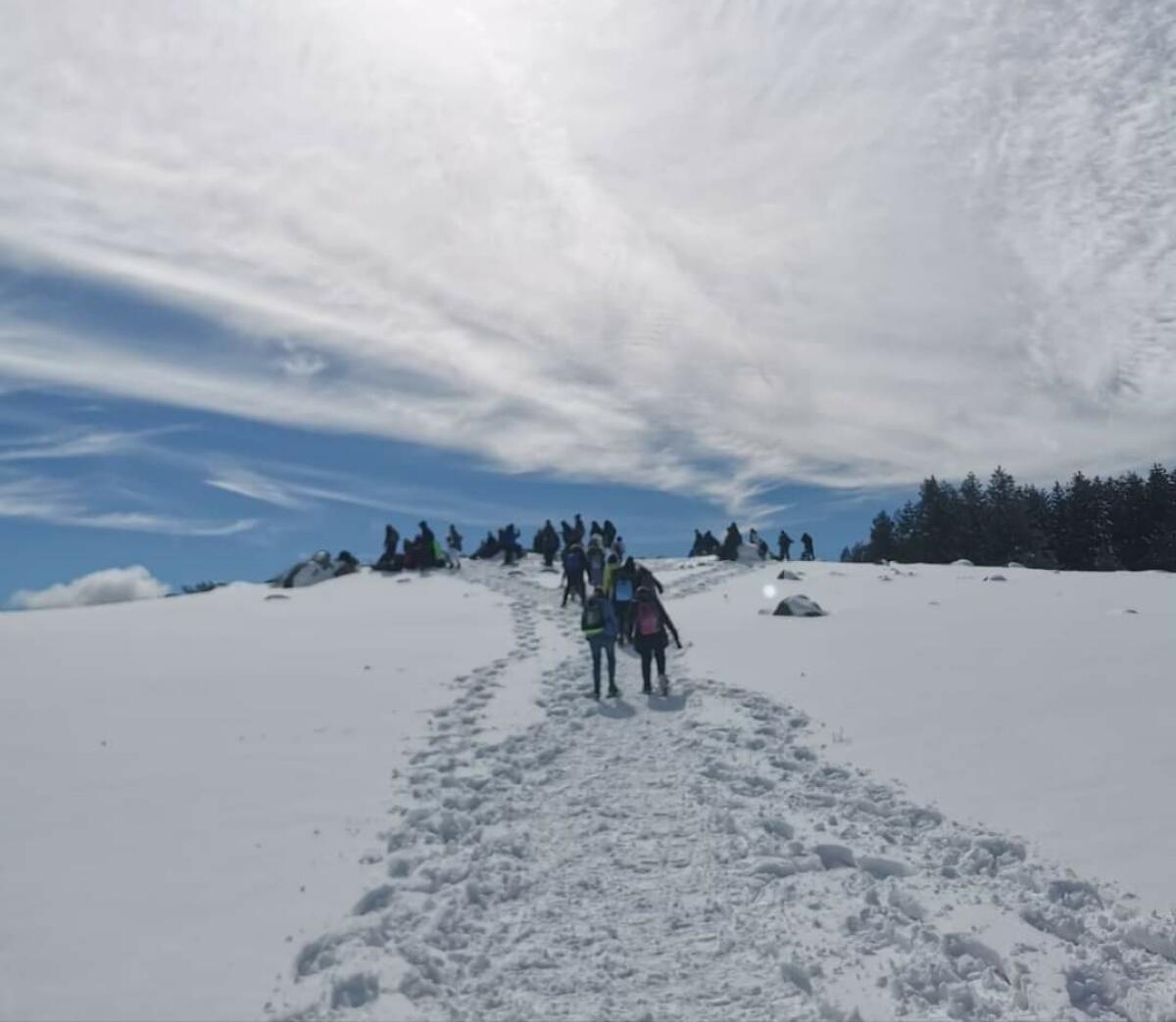 Gli studenti tornano in Sila, tra paesaggi innevati e sano divertimento - 