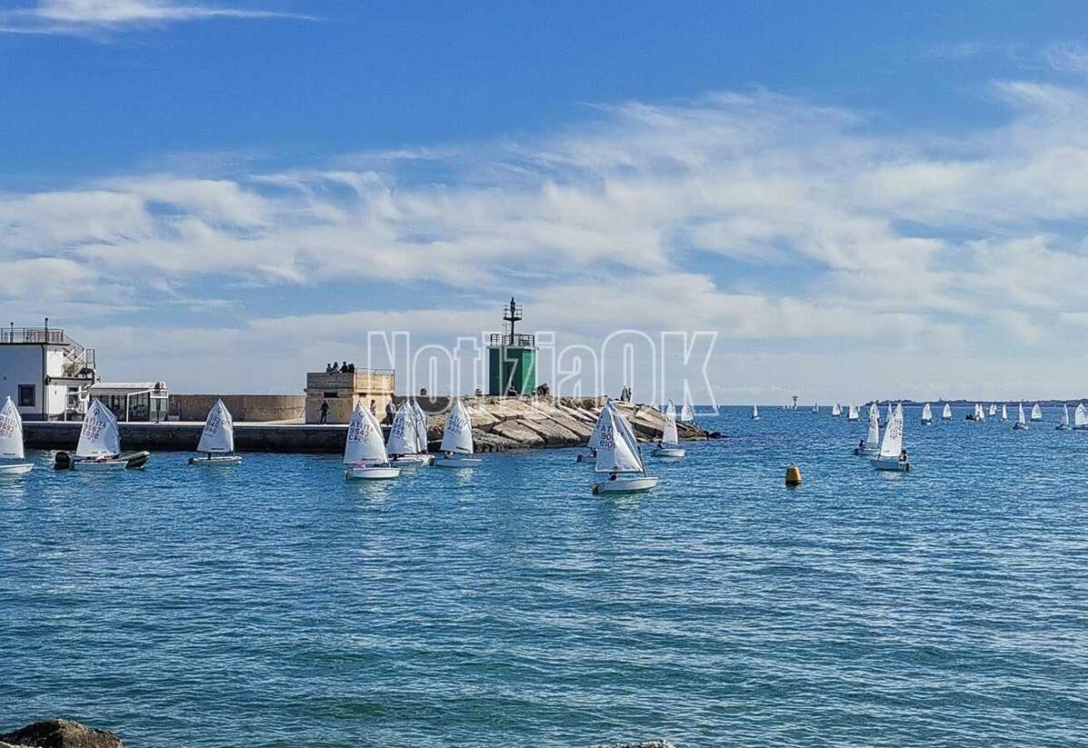 330 piccoli marinai nell'anfiteatro della vela: partita oggi la Carnival Race 2022 - 