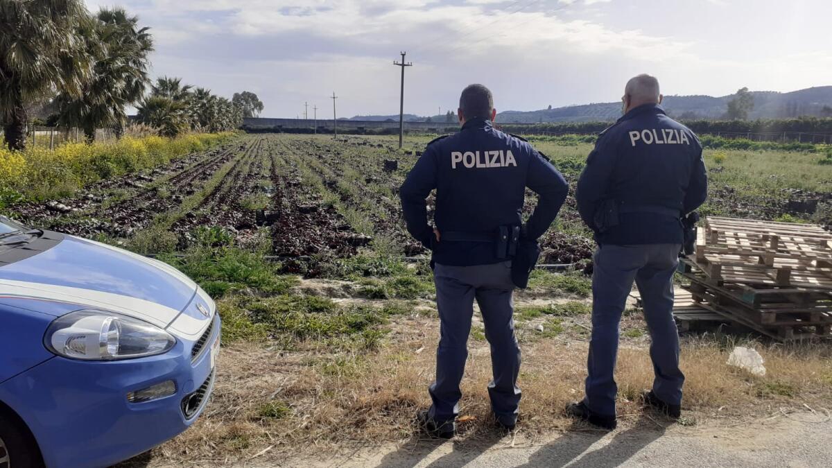 Lavoravano in un'azienda agricola del crotonese senza Green Pass, sanzionato il proprietario - 