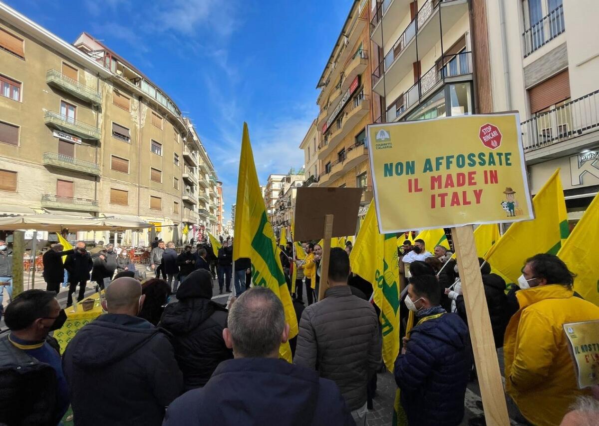 Caro Bollette, 1 agricoltore su 3 taglia i raccolti: continua la mobilitazione nelle piazze - 