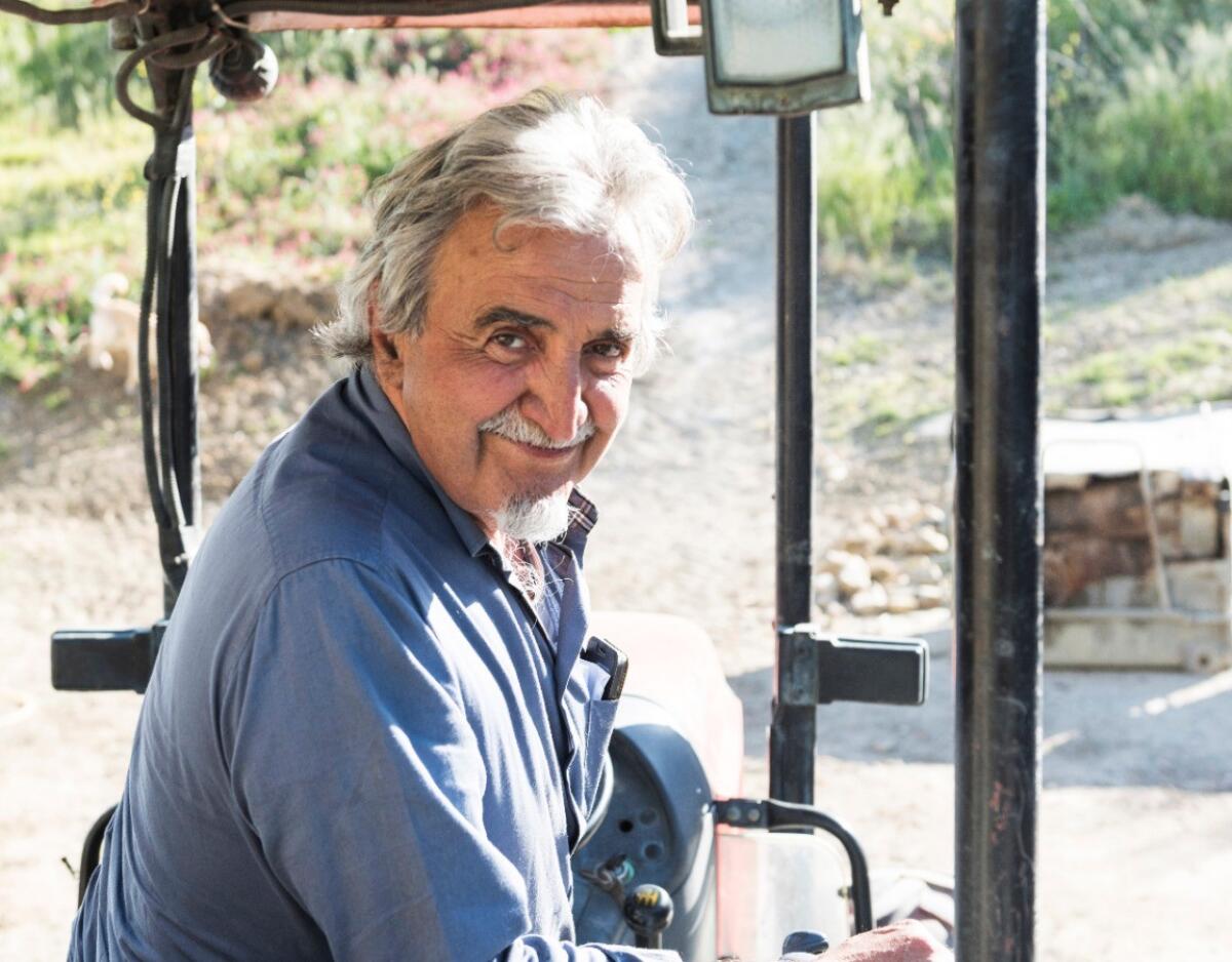 Roberto Ceraudo nominato ambasciatore della Accademia Nazionale dell’olio e dell’oliva di Spoleto - 