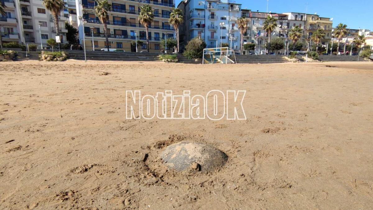 (Video) Crotone, strani ritrovamenti sulla spiaggia: cosa sarà? - 