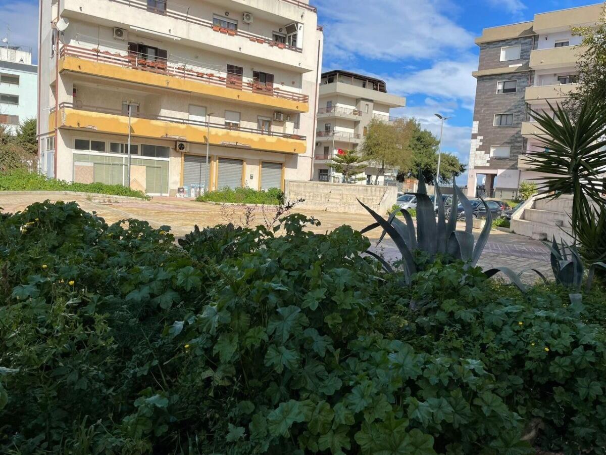 Crotone, in periferia il verde rimane sempre eccessivo - 