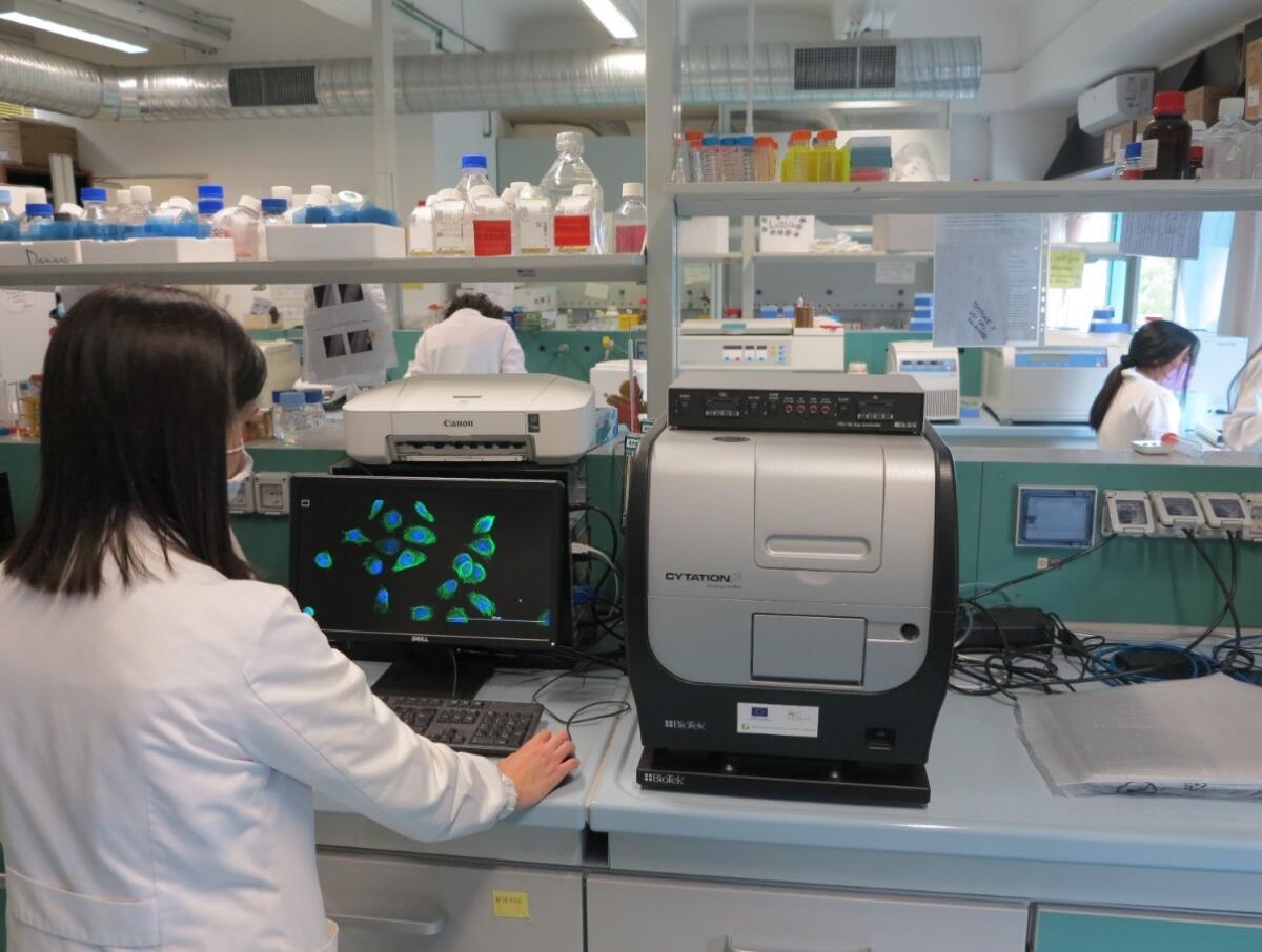 Giornata internazionale delle donne e delle ragazze nella scienza, le iniziative dell’Unical - 