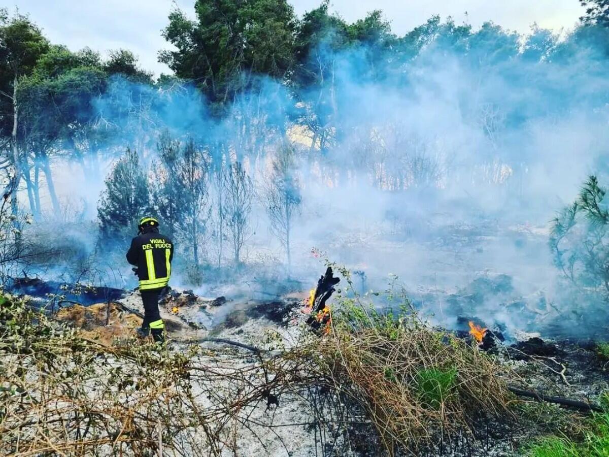 Isola di Capo Rizzuto, ancora in fiamme il Bosco di Sovereto - 