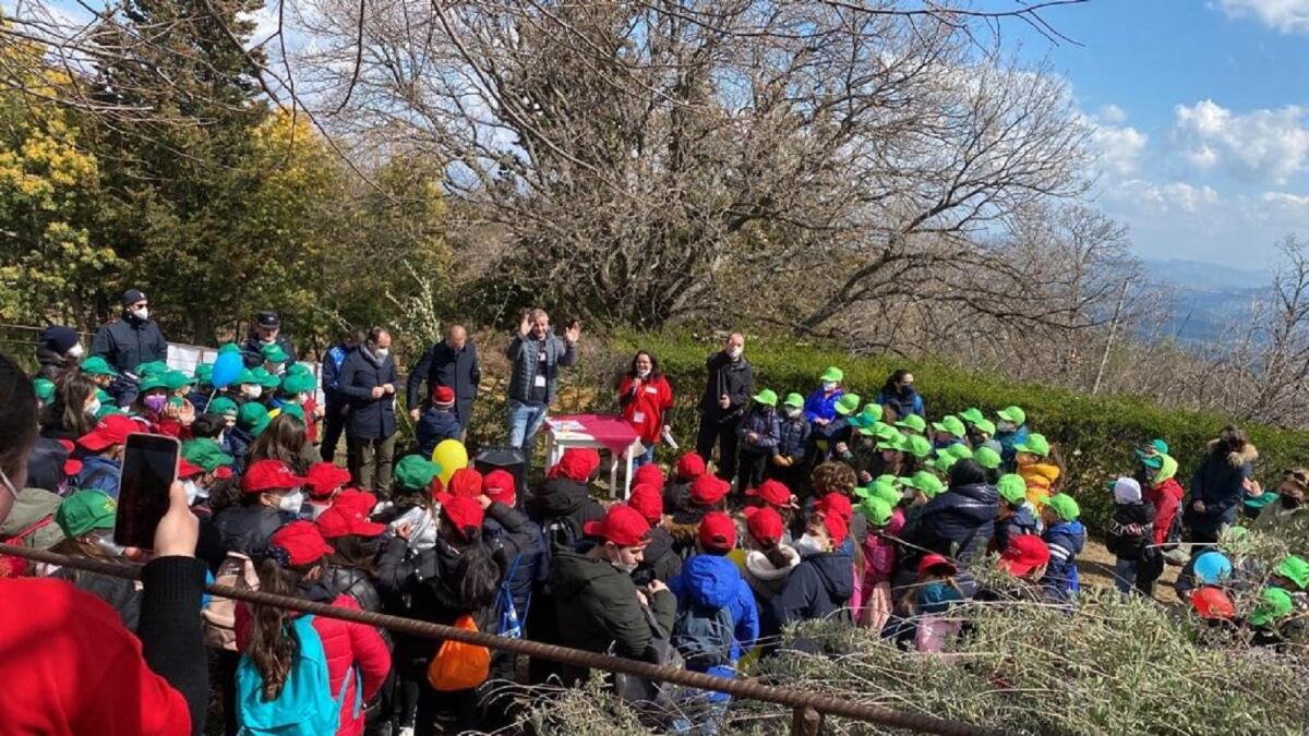 Cotronei in Festa: nasce "Il giardino di Checco" - 