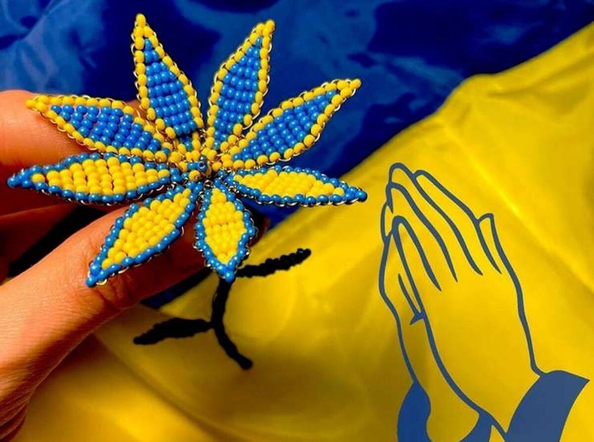 Da Petilia Policastro continua la solidarietà per il popolo ucraino - 