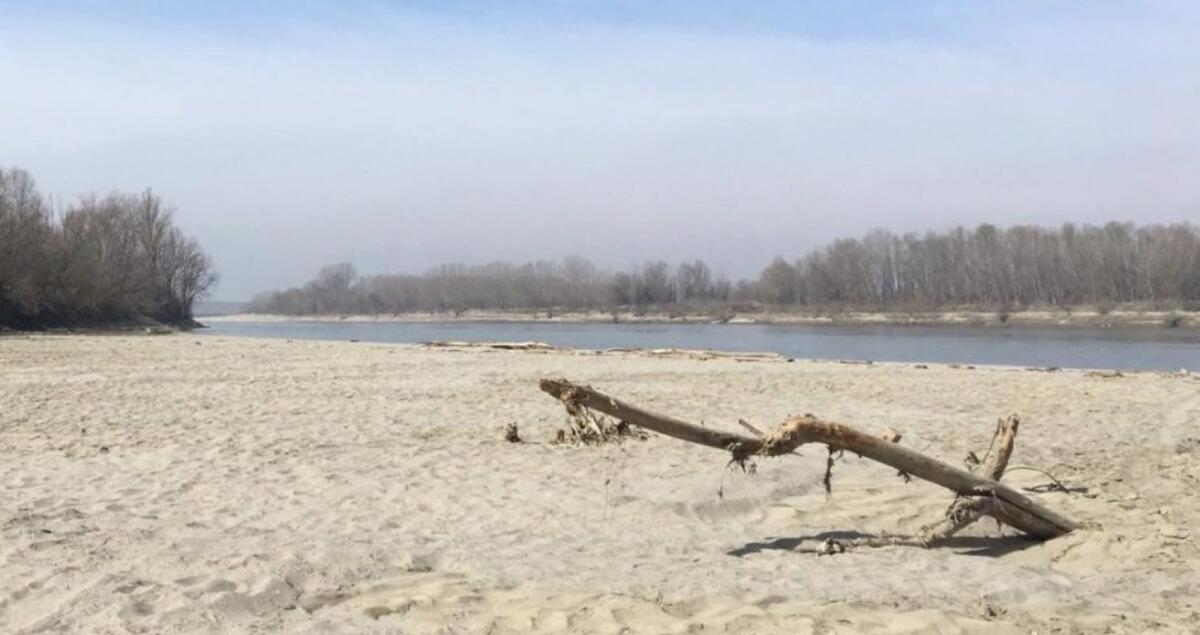 Clima: è Primavera dopo il V inverno più caldo di sempre - 