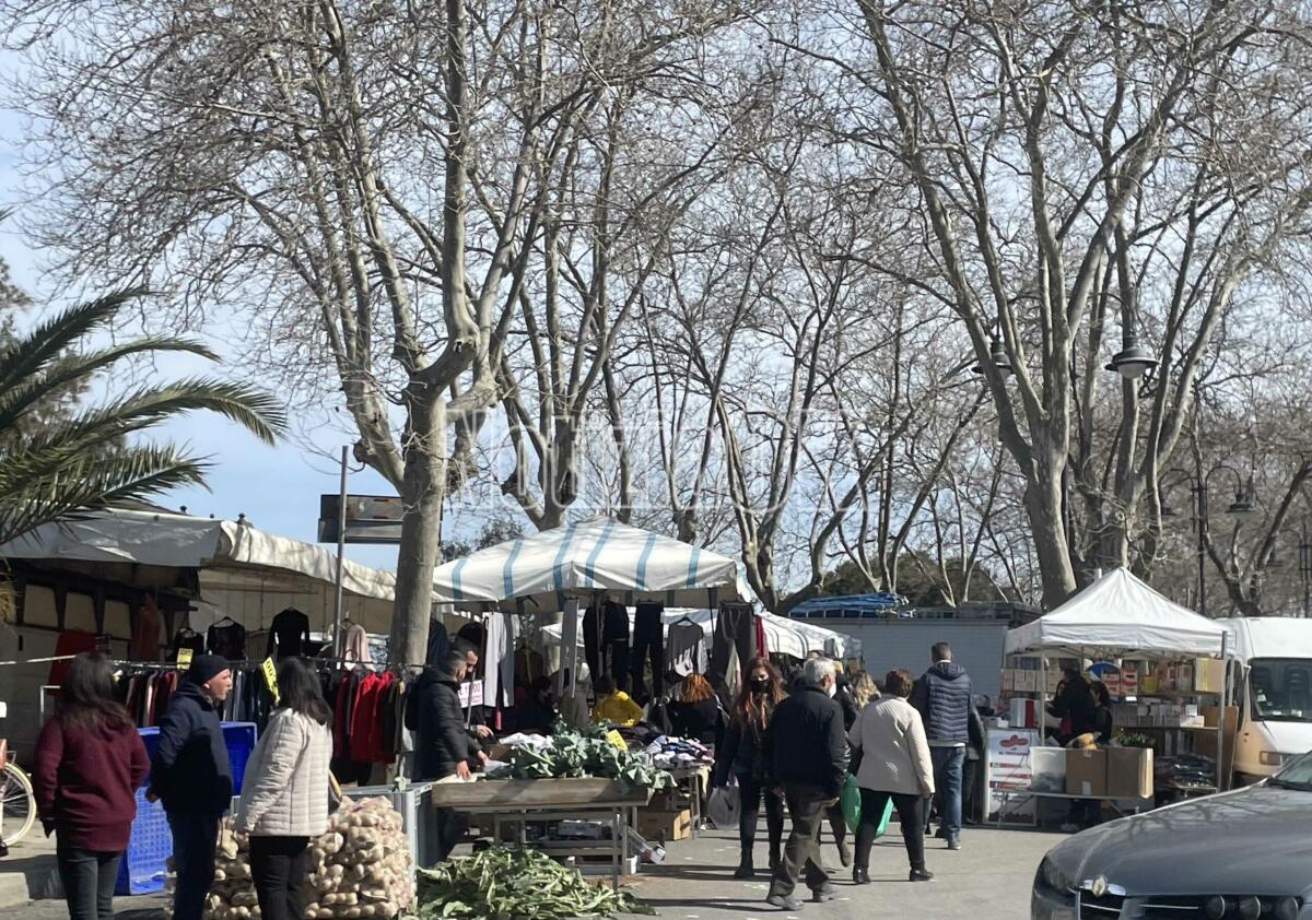 Crotone, affluenza alta al mercato del primo giovedì del mese - 
