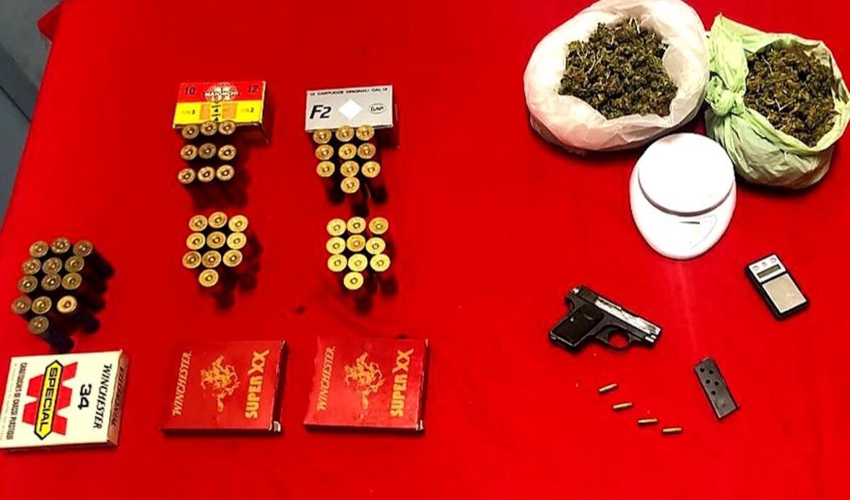 Due fratelli entrambi in pensione avevano in casa droga e una pistola -