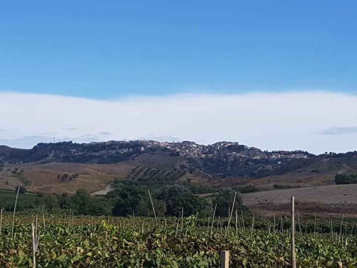 Cirò, definita l'approvazione di Progetti per la viabilità rurale - 