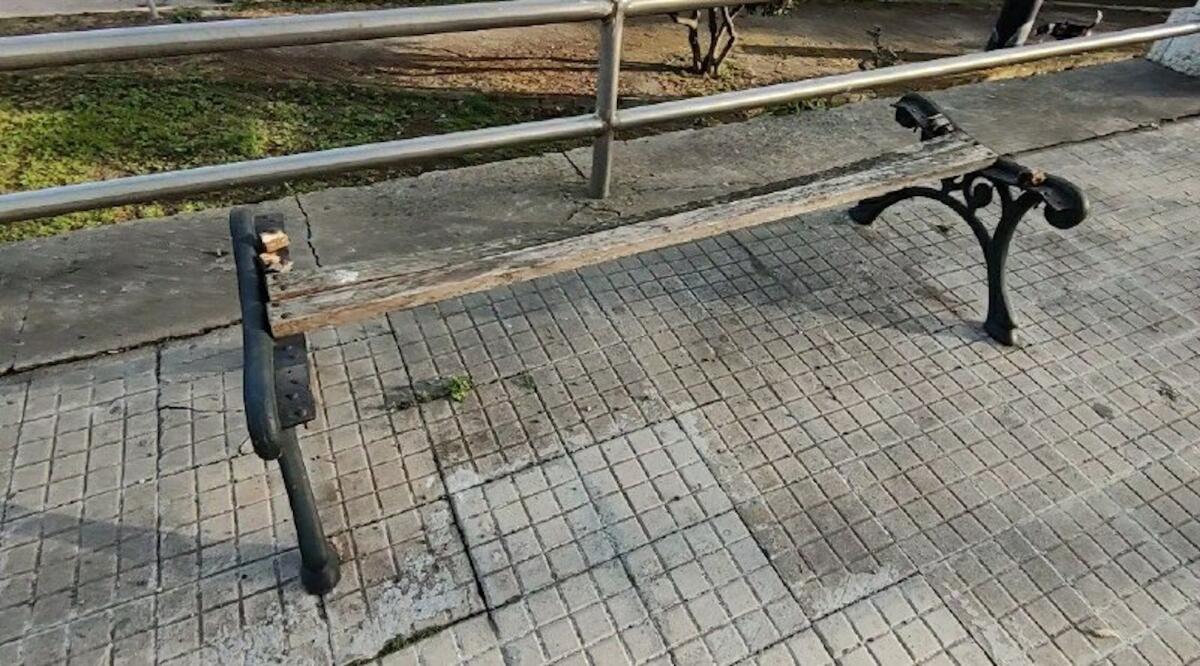 (Video) Crotone, in viale Regina Margherita la panchina c'è ma non si vede... - 