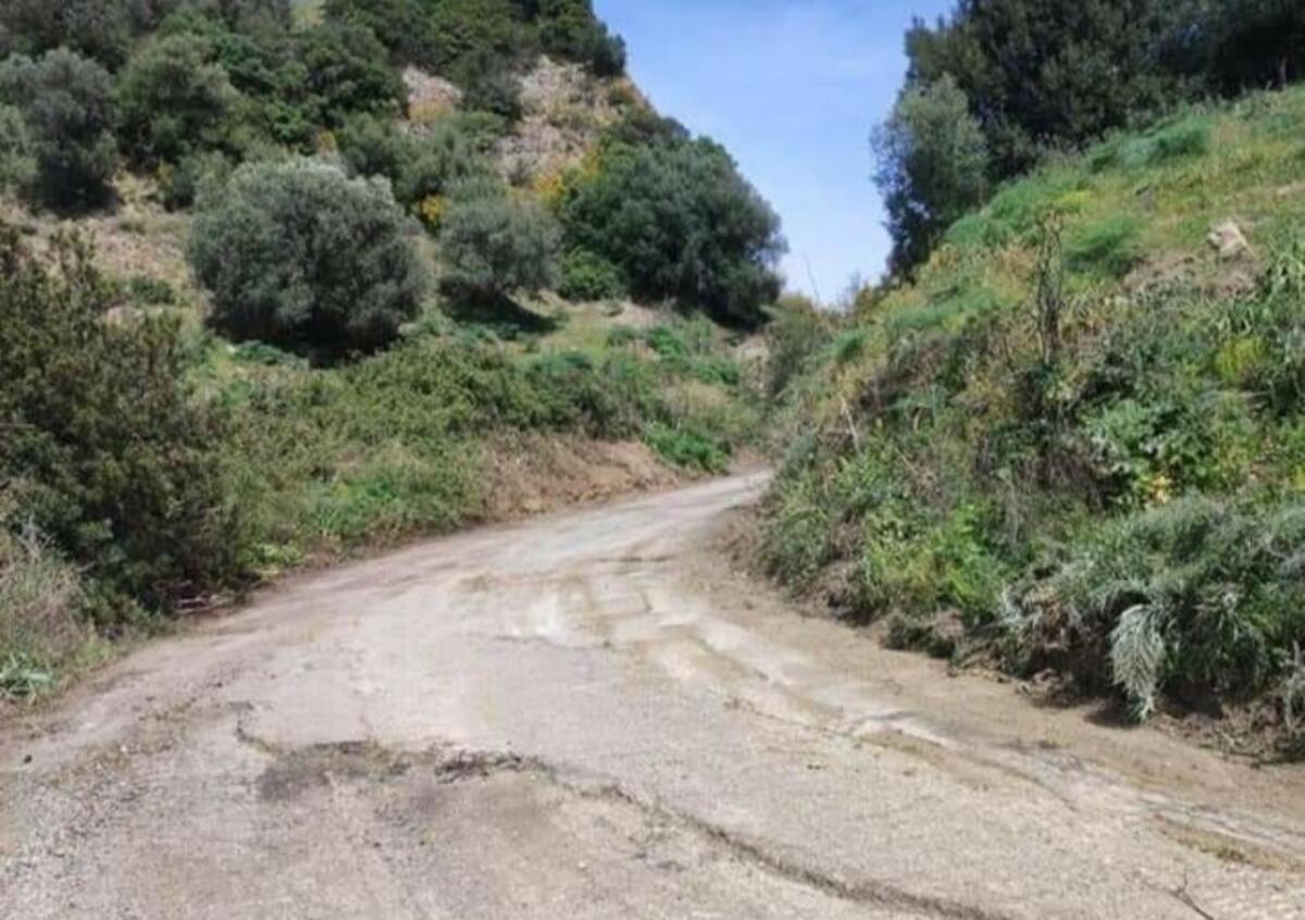 Umbriatico, iniziati i lavori di manutenzione lungo la S.P. 6 - 