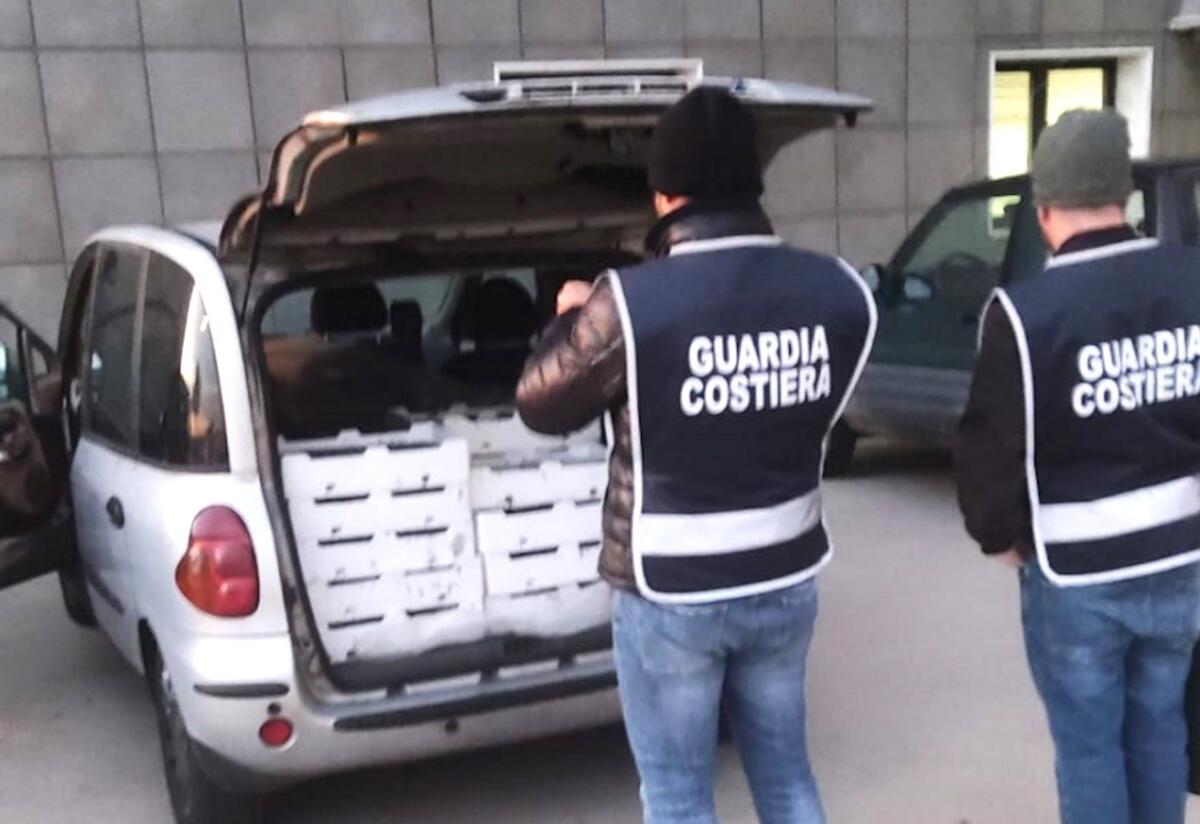 Operazione della Guardia Costiera: sequestrati 200 chili di bianchetto - 