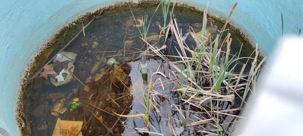 Crotone, una palude o un lavatoio? - 