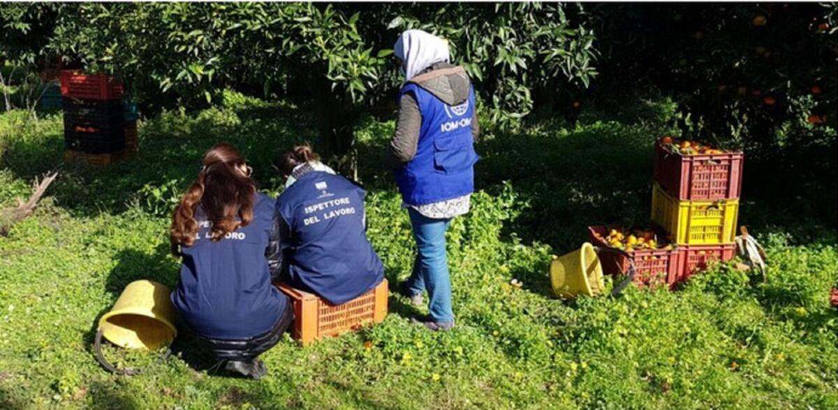 Capolarato in Calabria: continuano i controlli dell'Ispettorato - 