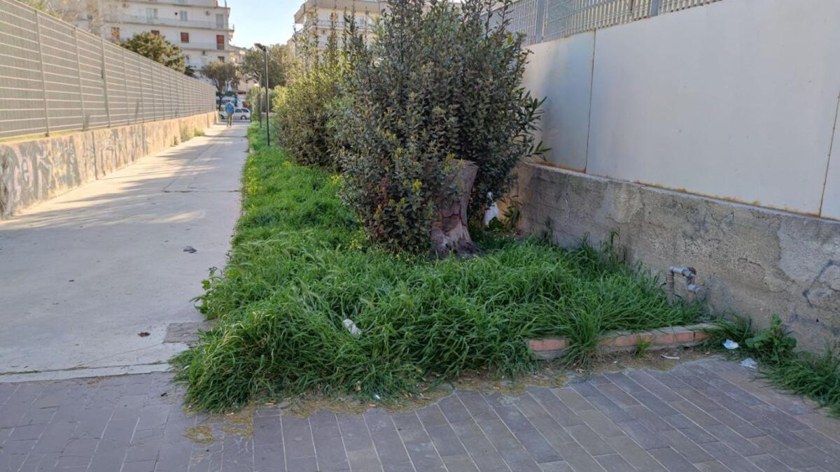 Crotone, una città "sempre verde" - 