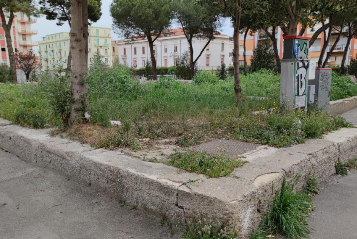 Crotone, un'area verde abbandonata a se stessa - 