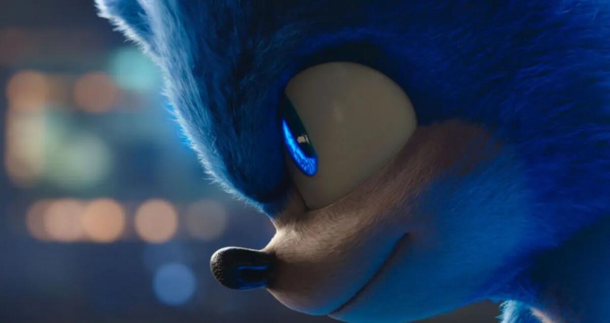 Crotone, Sonic 2: al Cinema Teatro Apollo arriva l'eroe dei videogame - 