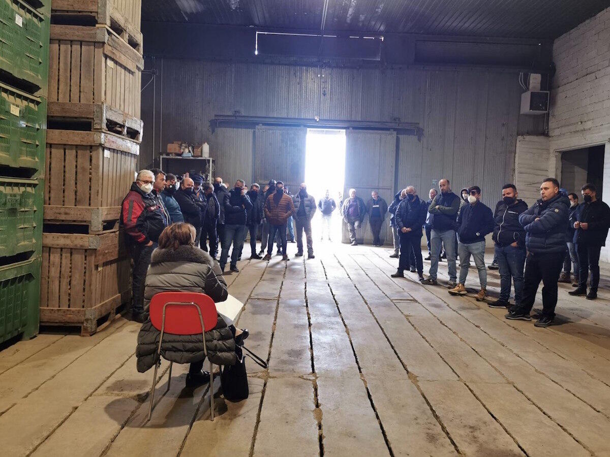 Copoi, serve liquidità alle imprese. Agricoltura in crisi - 
