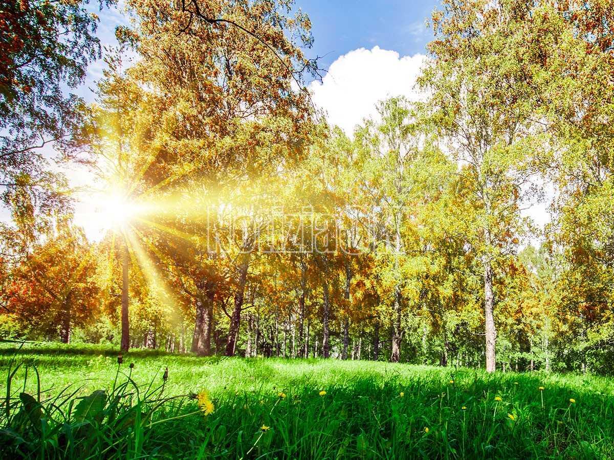 Salute, la luce solare aumenta la qualità del sonno e riduce lo stress - 