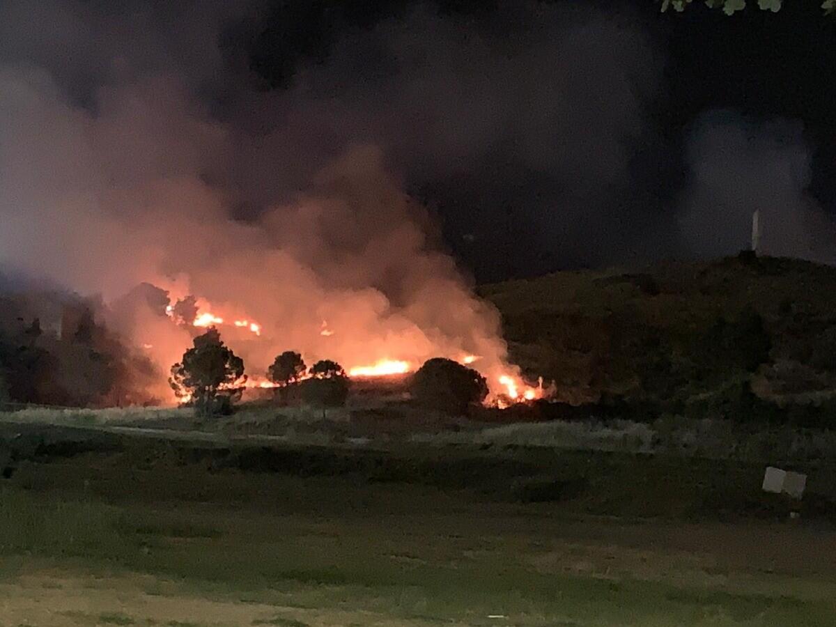 Crotone, Vazzano (Jobel) su incendio a Parco Pignera: "Un atto ignobile" - 