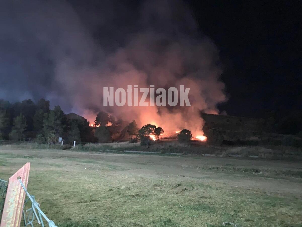 Crotone, il Sindaco su incendio a Parco Pignera: "Vigliacchi che non amano la città" - 