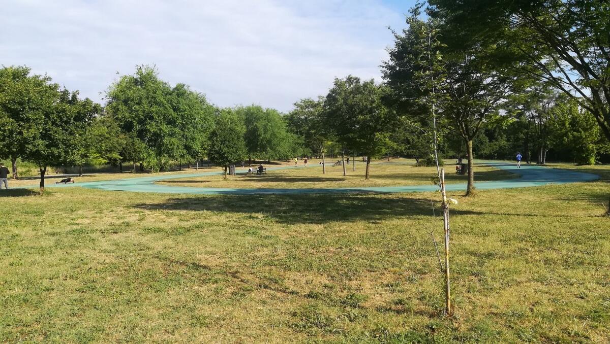 A Roma un Parco da 12 mila posti intitolato a Rino Gaetano - 
