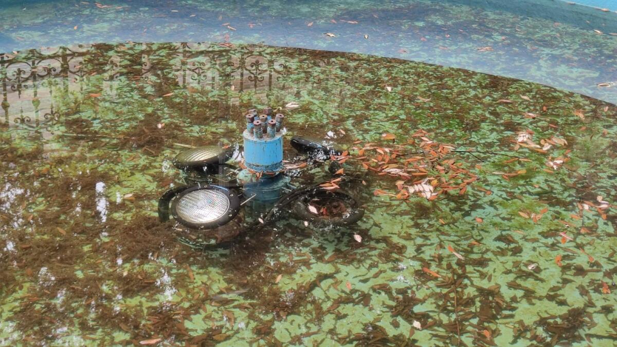 Crotone, Piazza Umberto I: la fontana c'è, manca però il decoro - 