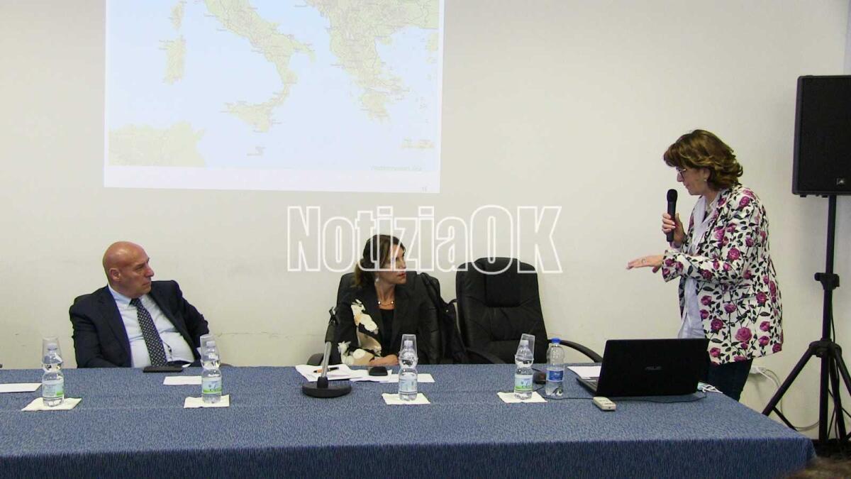 La Commissione Trasporti al Porto di Crotone: "Da qui lo sviluppo del territorio, con attenzione a 106 e aeroporto" - 
