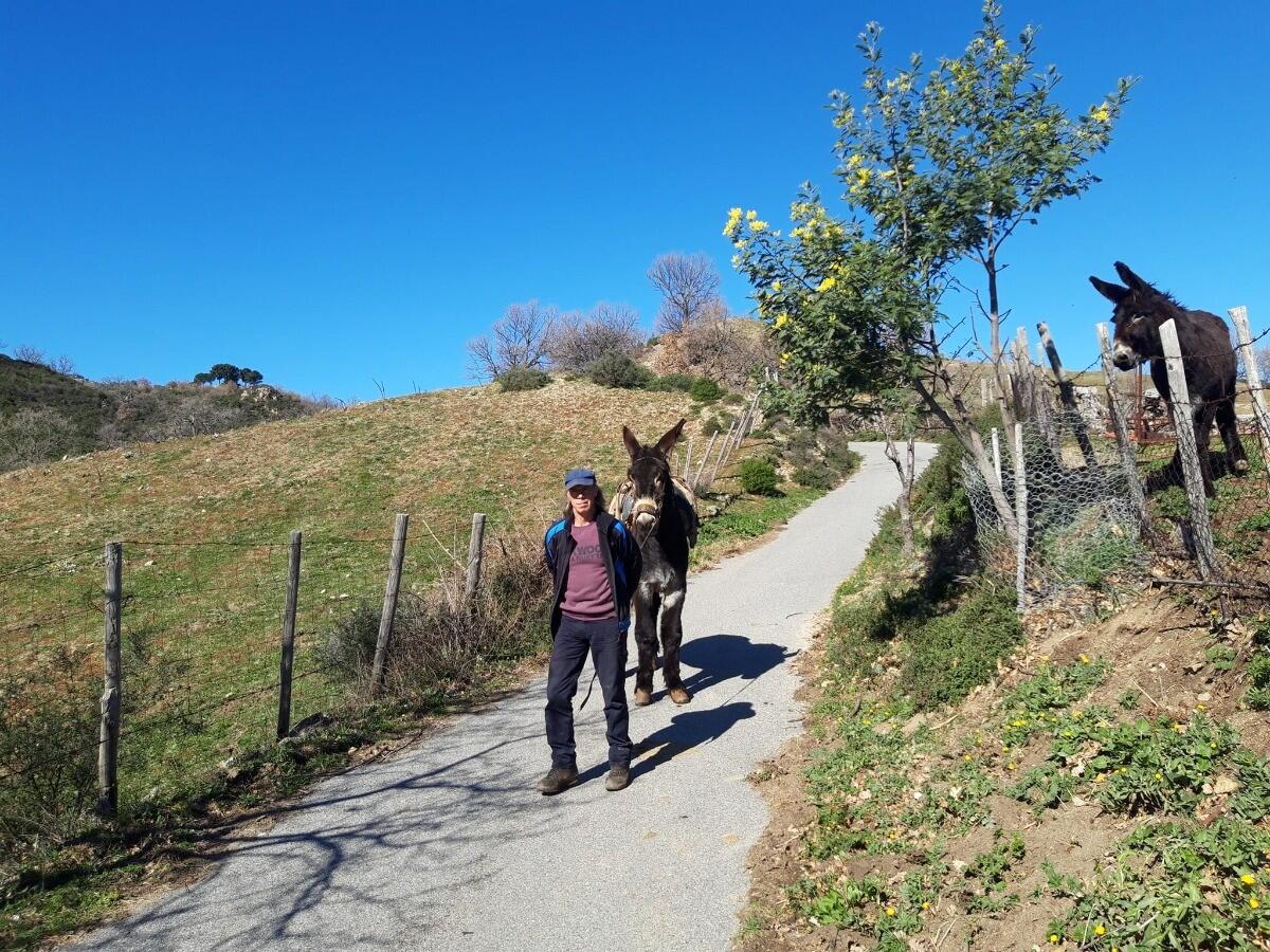 Castelsilano, al via “A Passo d’Asino” tra paesaggi ed assaggi per conoscere e vivere il territorio - 