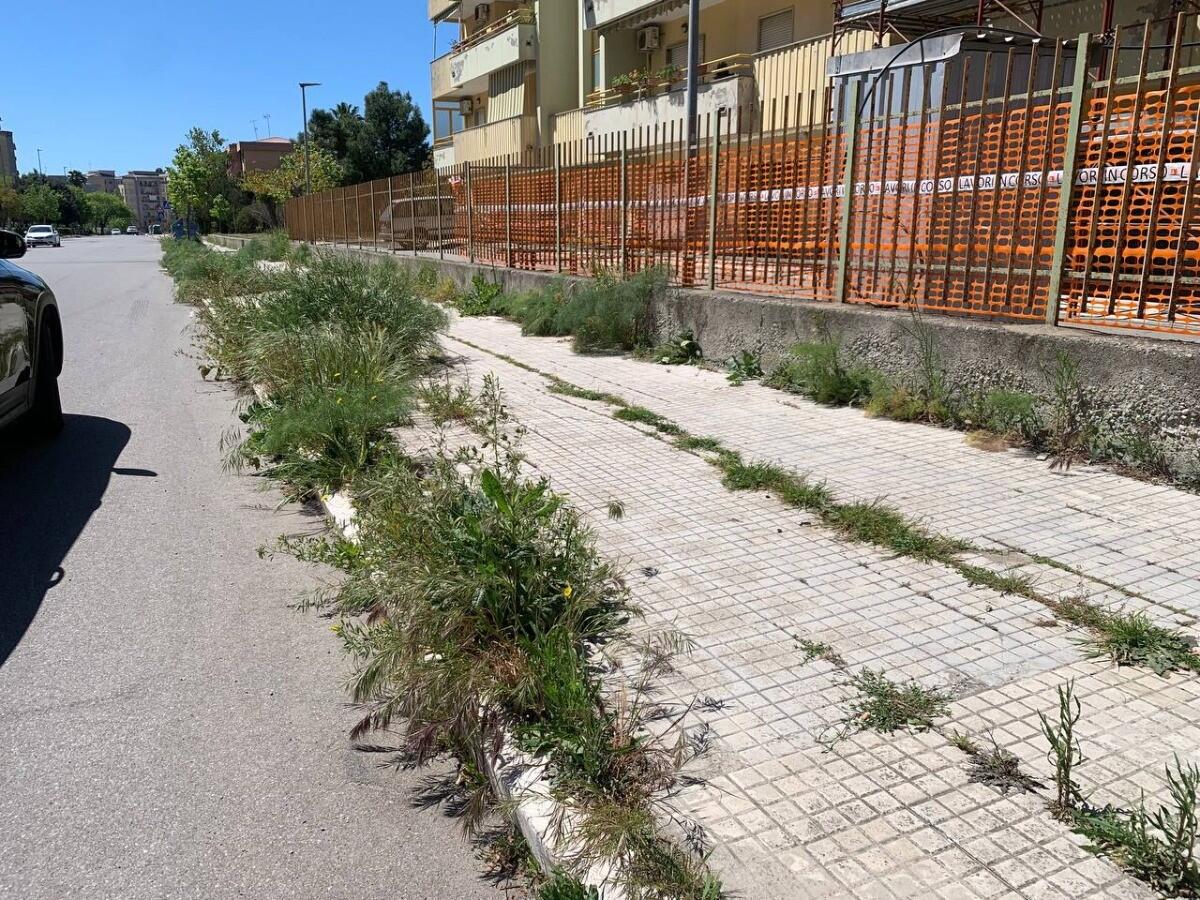 Crotone, in via Saffo una finestra sul degrado urbano - 