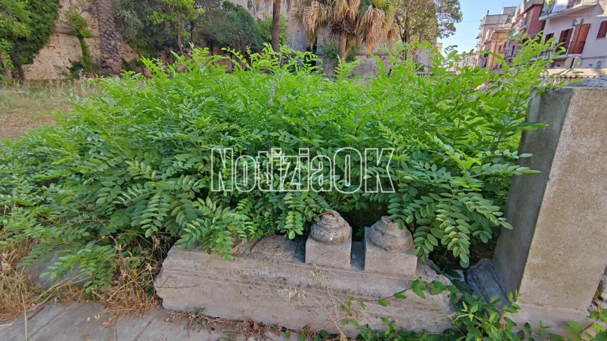 Crotone, la storia immersa nel degrado: Orto Tellini - 