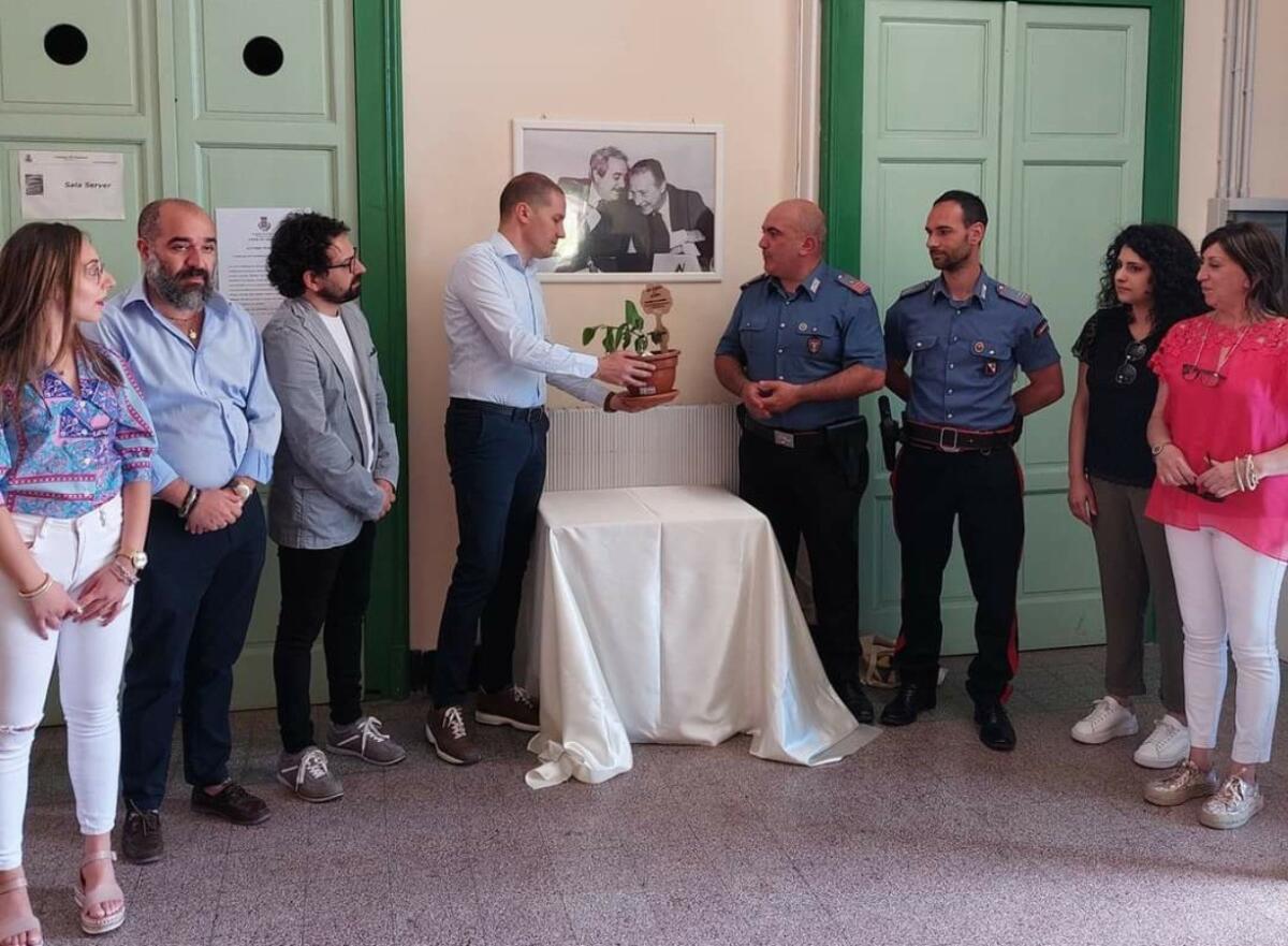 Cotronei, un albero simbolo di legalità e tutela dell'ambiente - 
