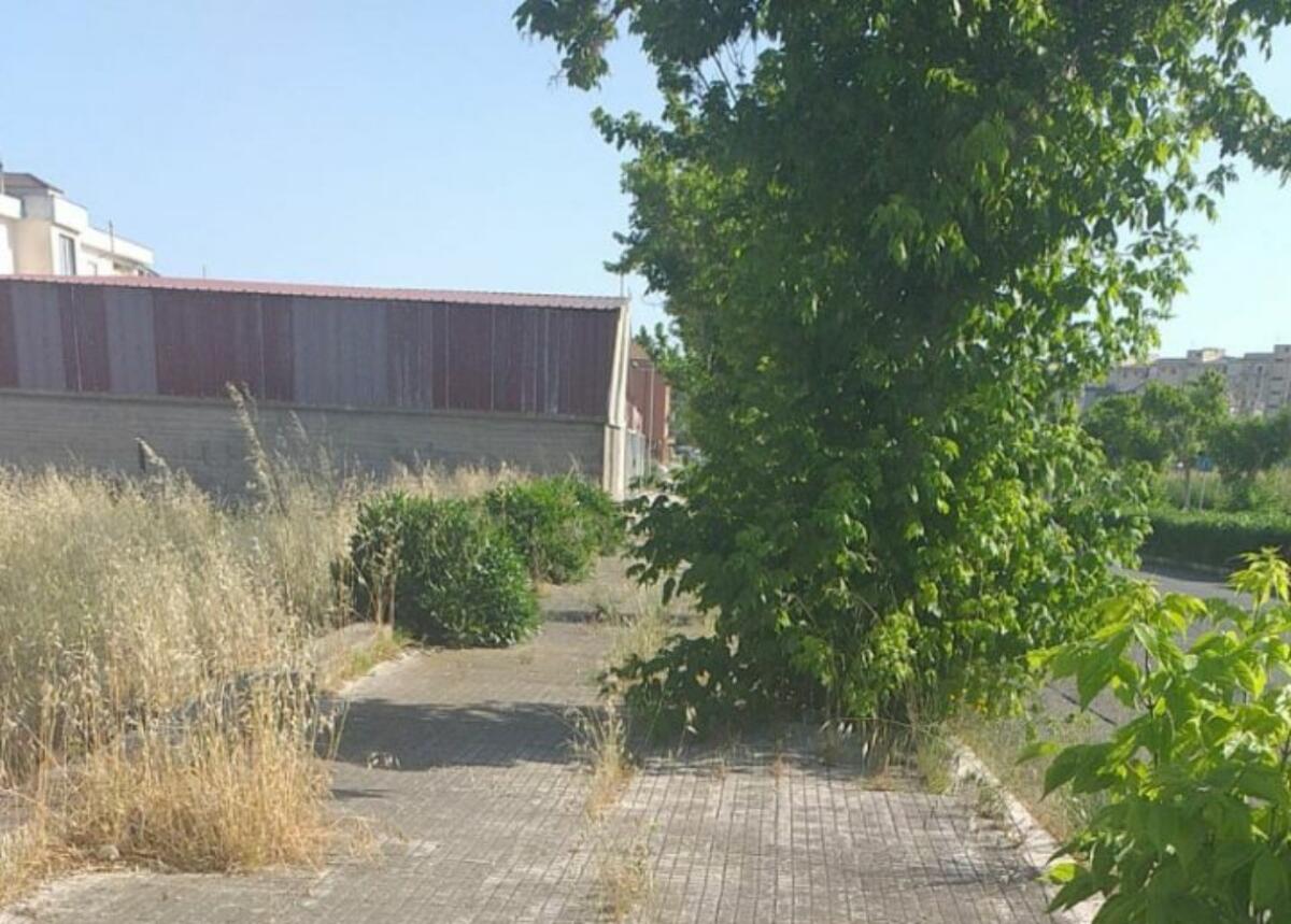 Crotone, una città verde anche durante l'estate - 