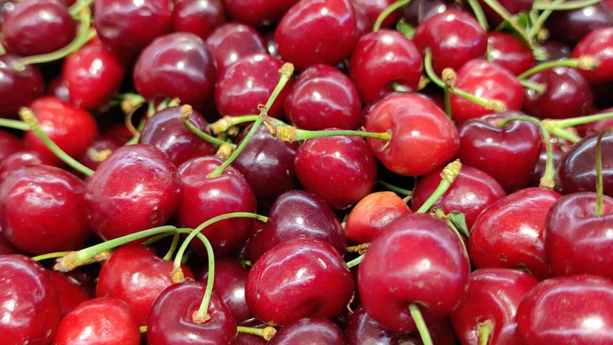 Asta record per una ciliegia: in Giappone venduta per 280 euro - 