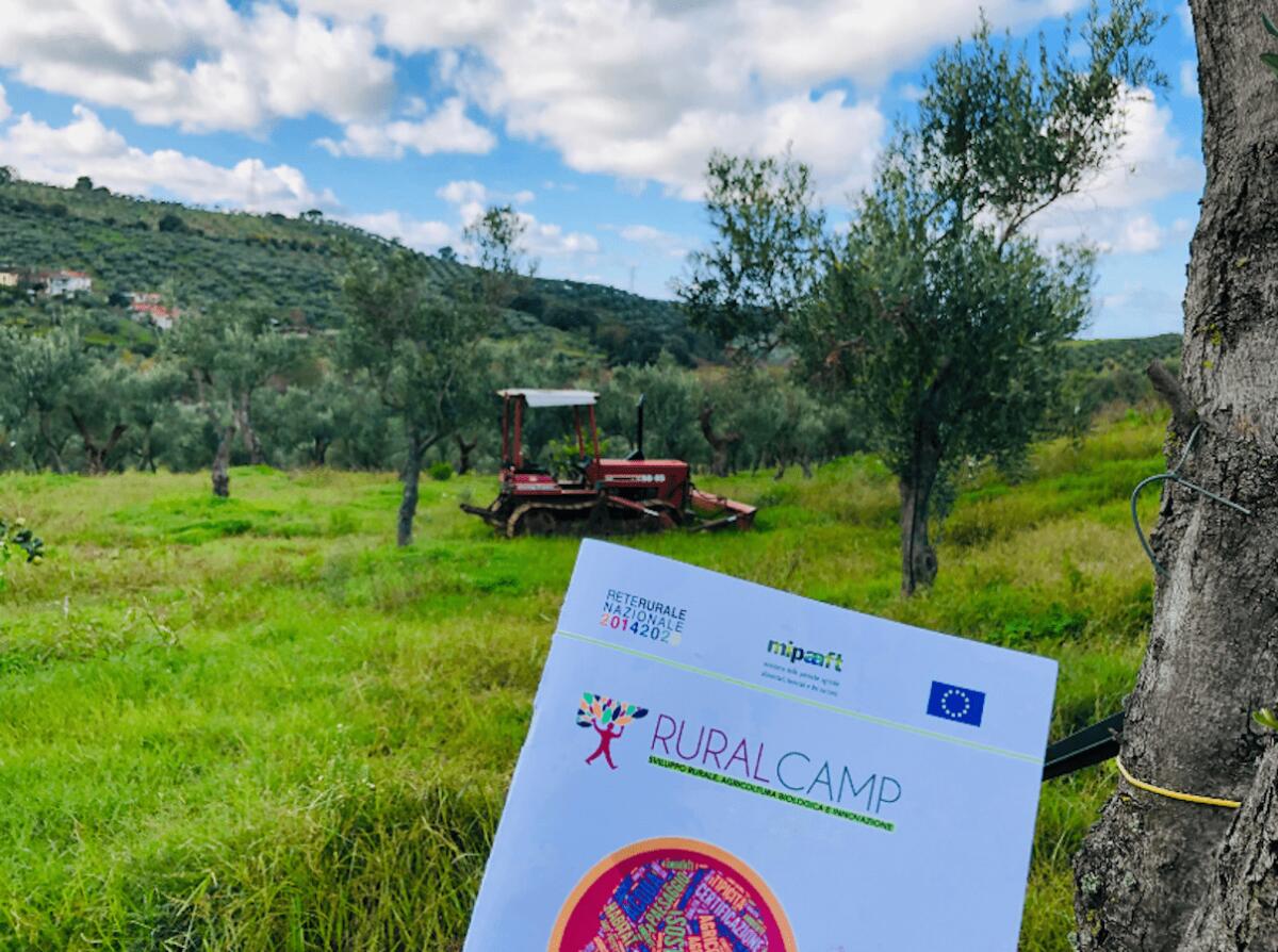 UniRC, gli studenti del Dipartimento Agraria ai vertici del Progetto RURAL4UNIVERSITÀ 2022 - 
