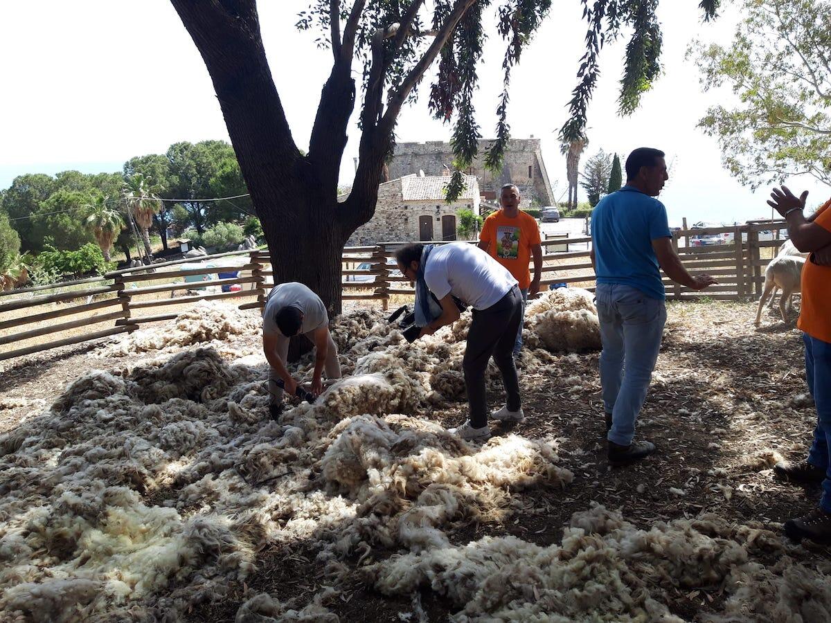 A Melissa la Festa della tosatura, la tradizione diventa evento - 
