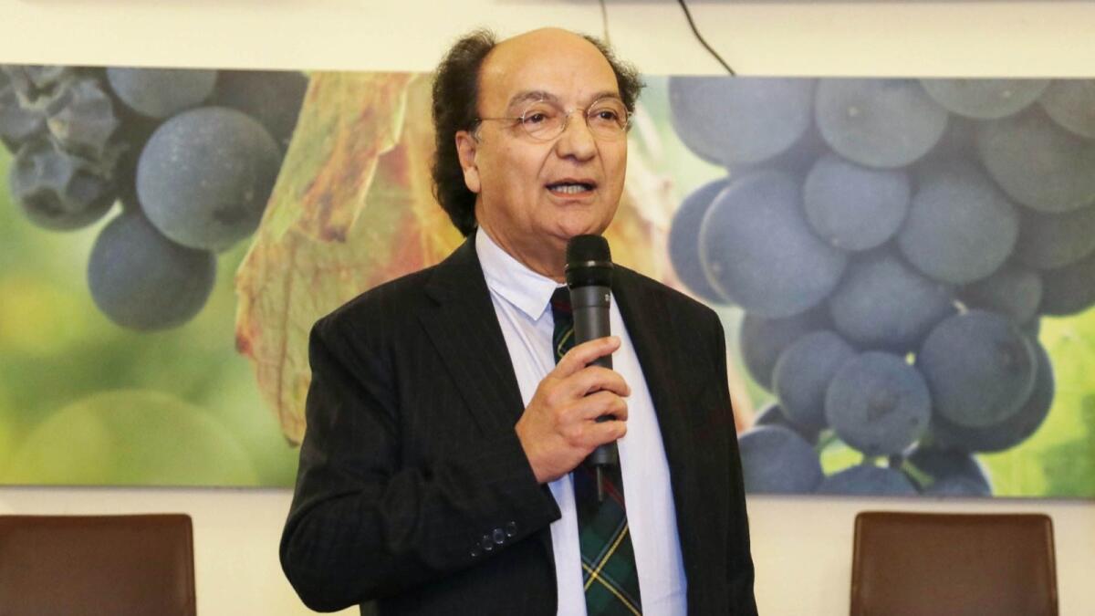 Il presidente del Cosenza Guarascio: "Invito la giornalista veneta in Calabria a mie spese" - 