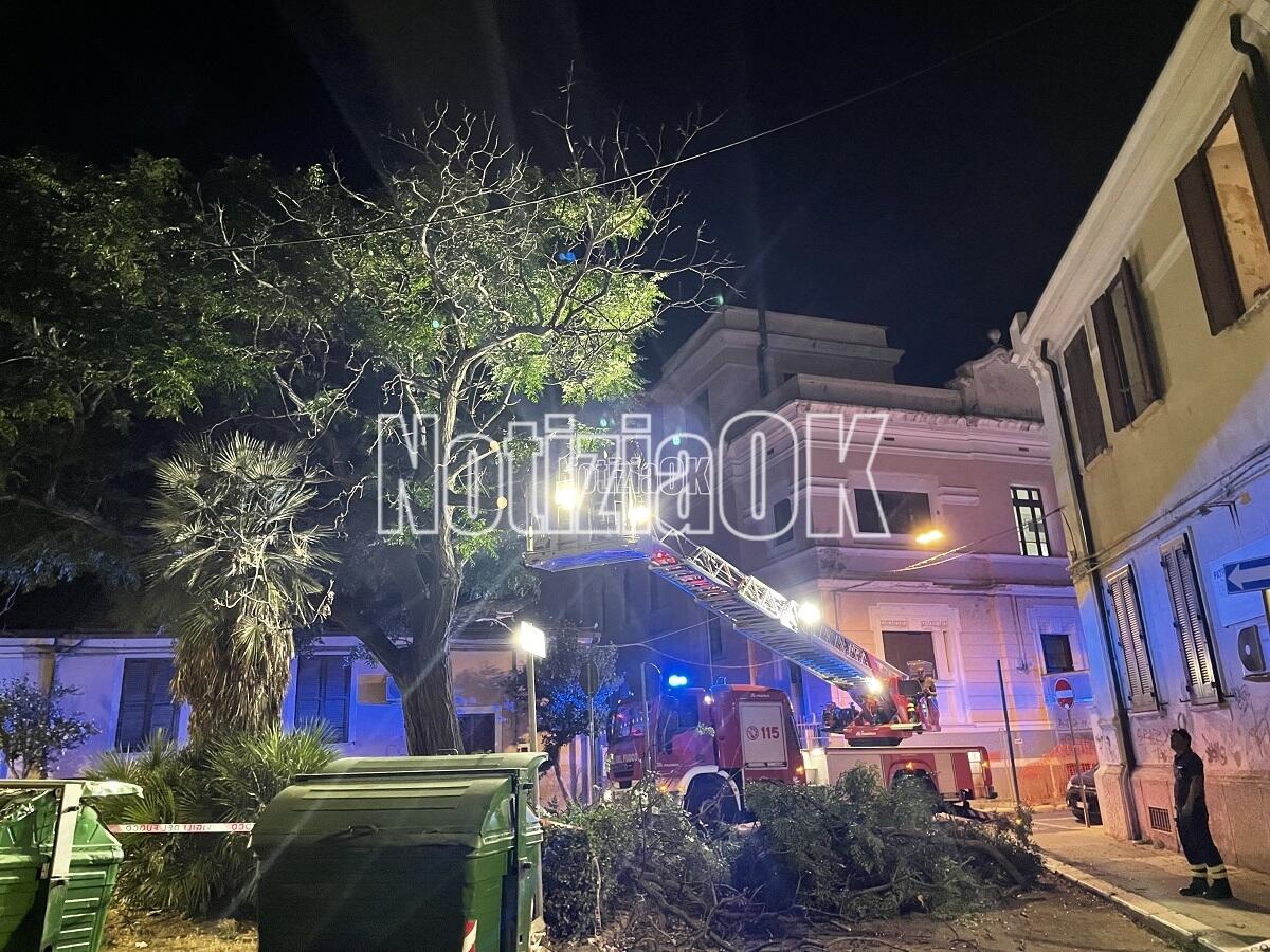 Crotone, cade un albero danneggiando due auto -