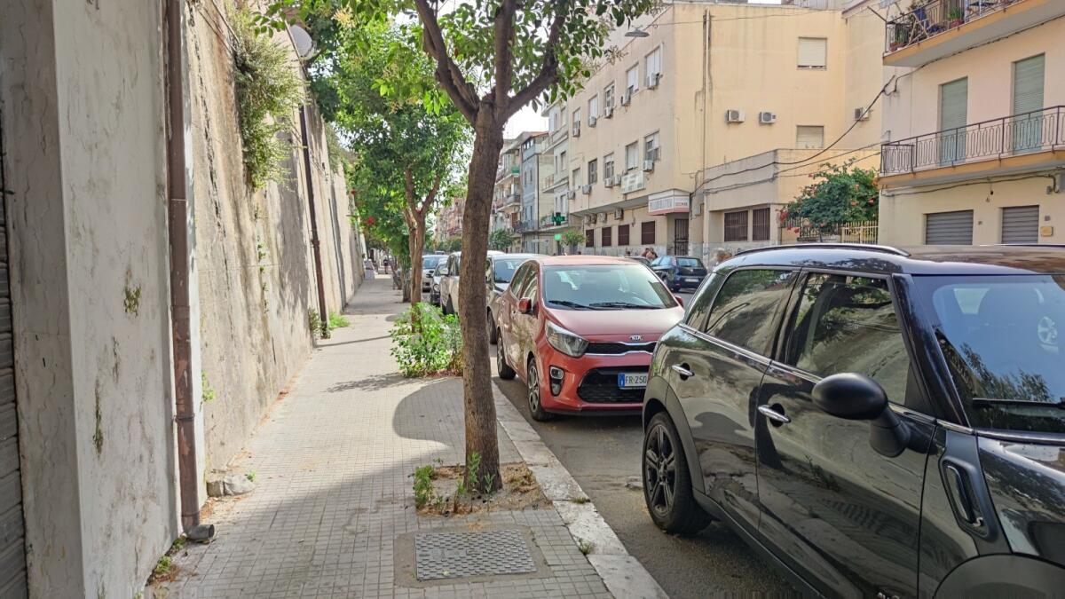 Crotone, topi a passeggio tra le auto lungo Corso Messina - 
