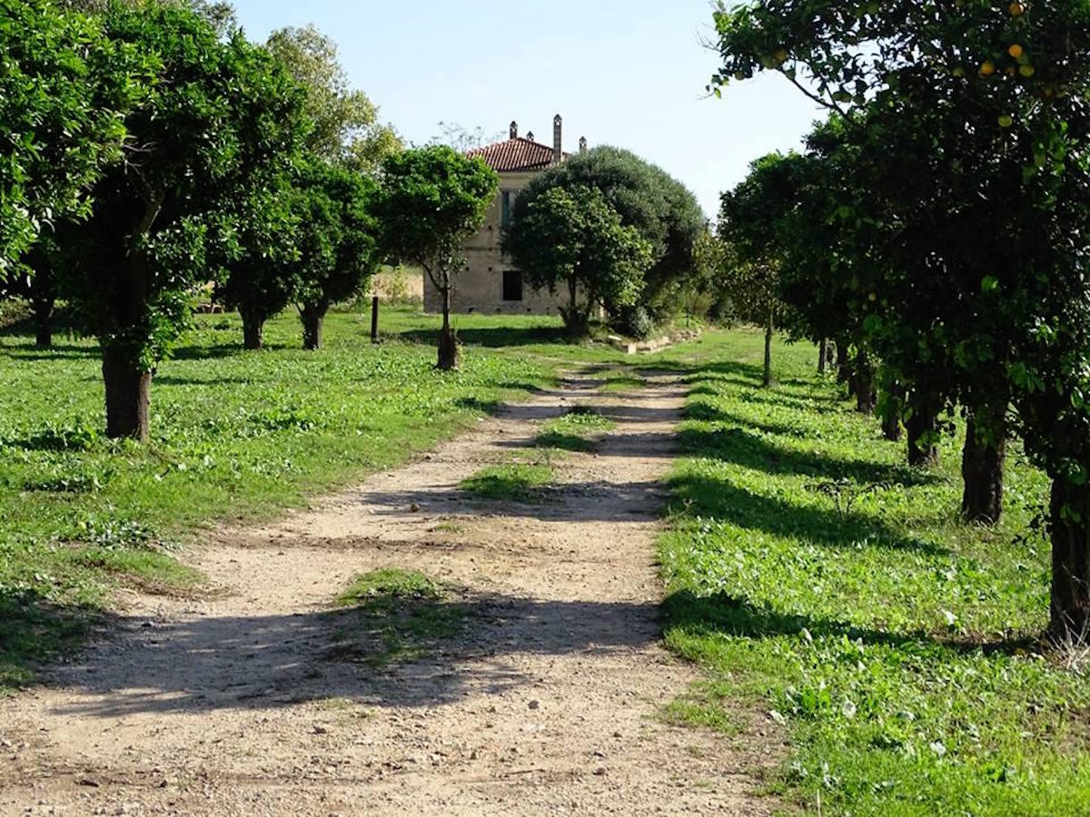 Tavola rotonda a Isola C.R. su "Falcone e Borsellino 30 anni dopo" - 